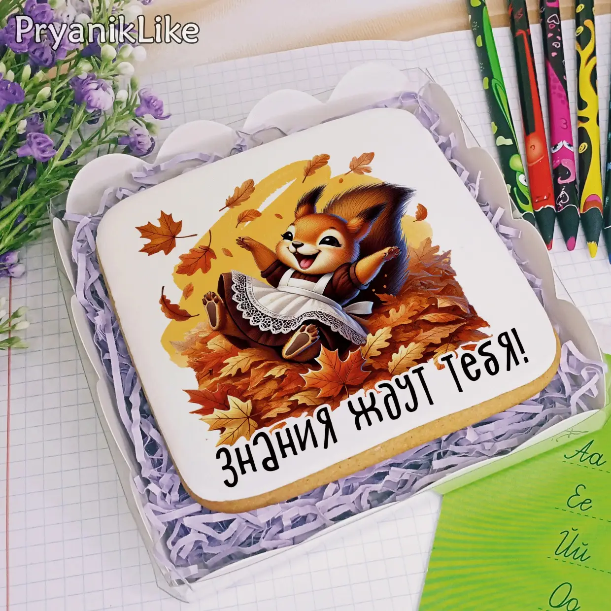 (2024) Белки (10-10)